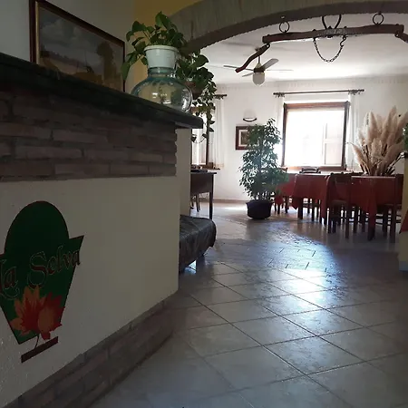 La Selva نوسيرا أومبرا