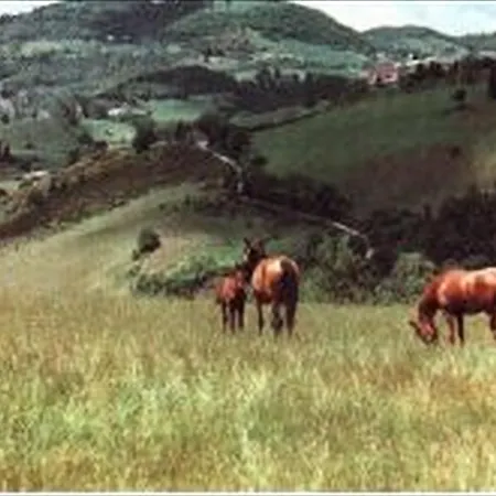 Farm stay Agriturismo La Selva