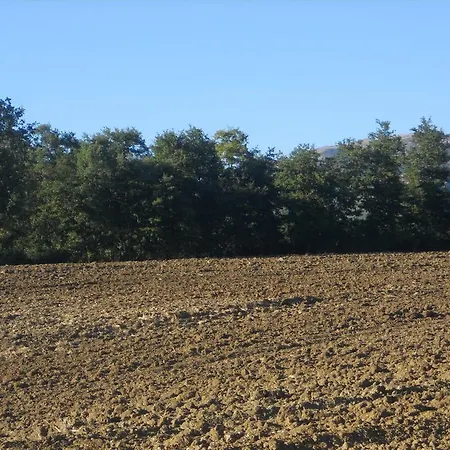 La Selva Lantgård