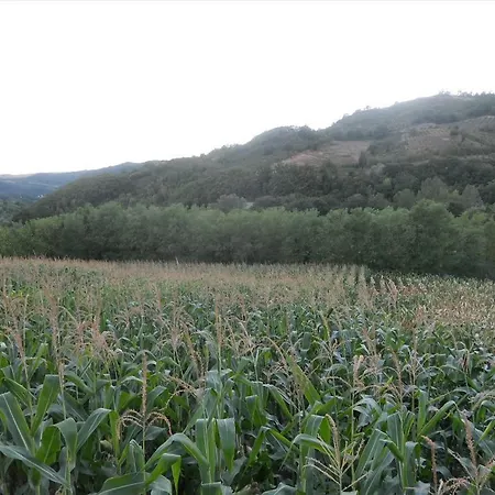 Agriturismo La Selva Farm stay Nocera Umbra