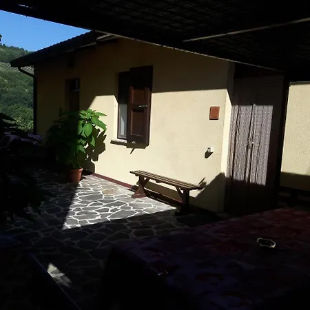 La Selva *