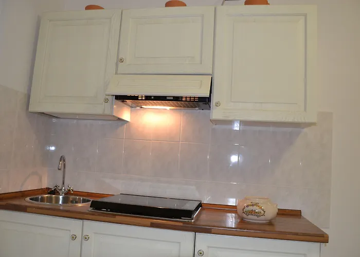 La Selva * ノチェーラ・ウンブラ