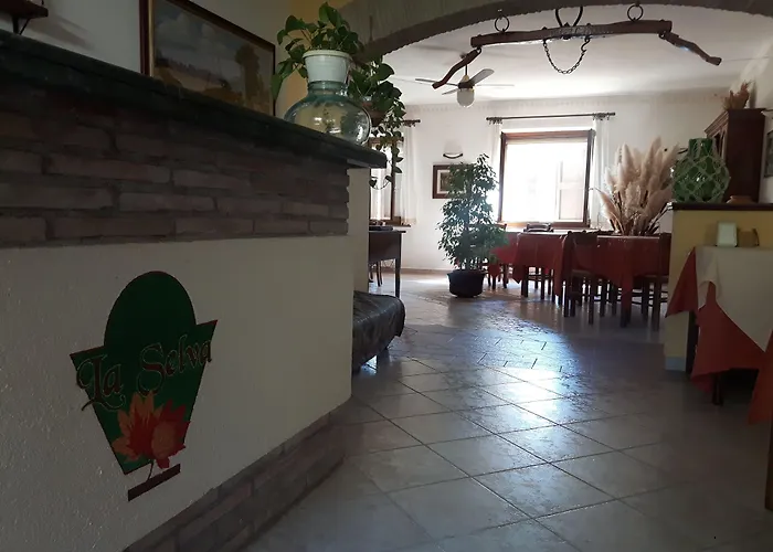 La Selva ノチェーラ・ウンブラ