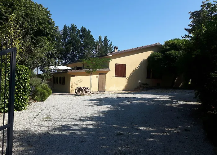 La Selva * ノチェーラ・ウンブラ