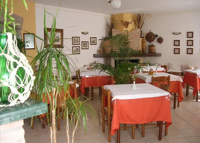 La Selva * ノチェーラ・ウンブラ