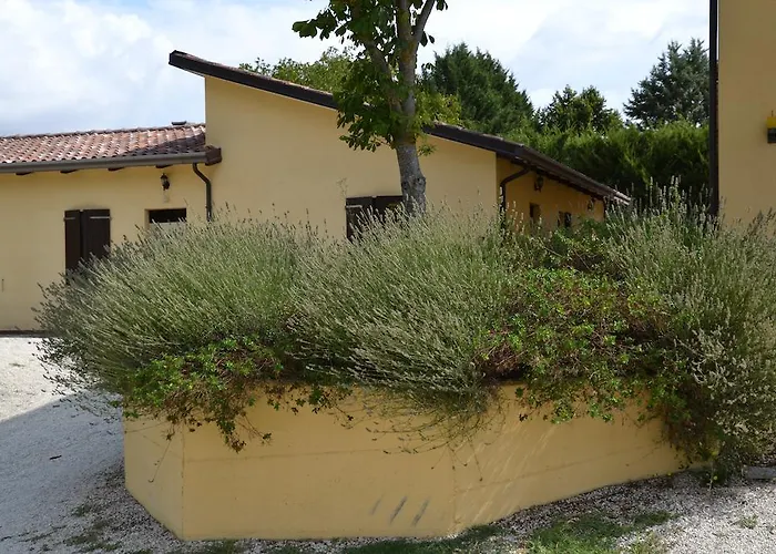 ファームステイ La Selva