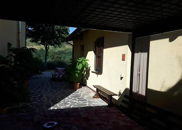 ファームステイ La Selva *