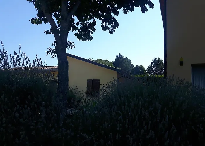 La Selva ファームステイ